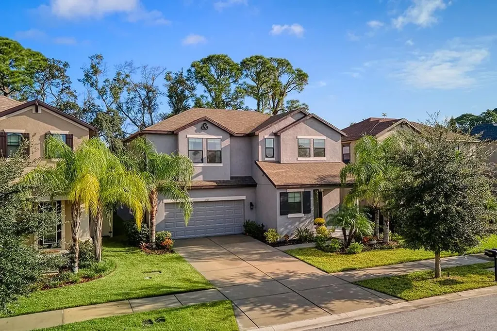 11313 Lazy Hickory Lane Tampa FL 33635