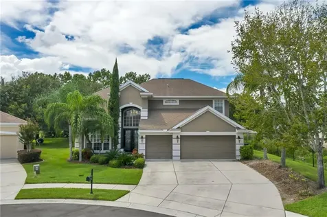 23300 Dinhurst Court Land O Lakes FL 34639