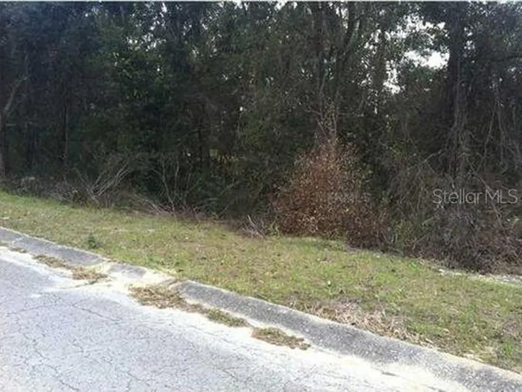 1155 S Cornell Terrace Inverness FL 34452