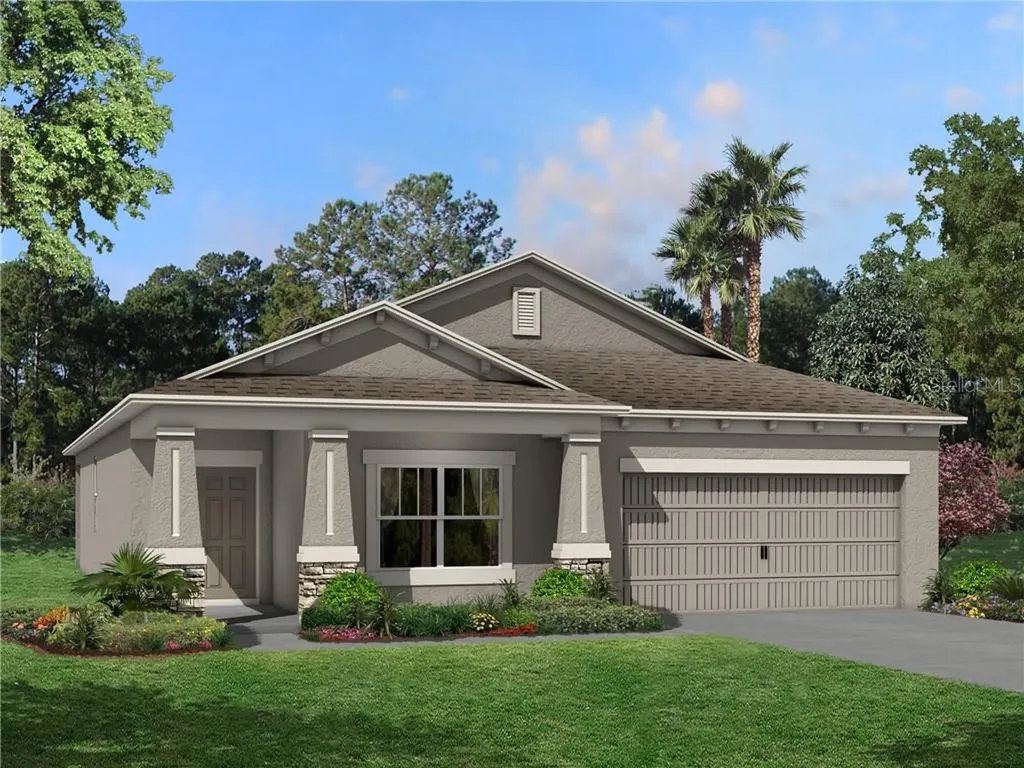 30451 Caravelle Lane Wesley Chapel FL 33545