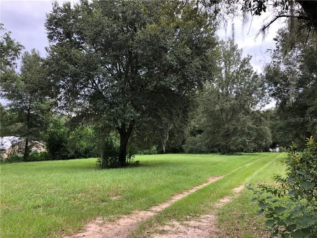 6215 Black Dairy Road Seffner FL 33584
