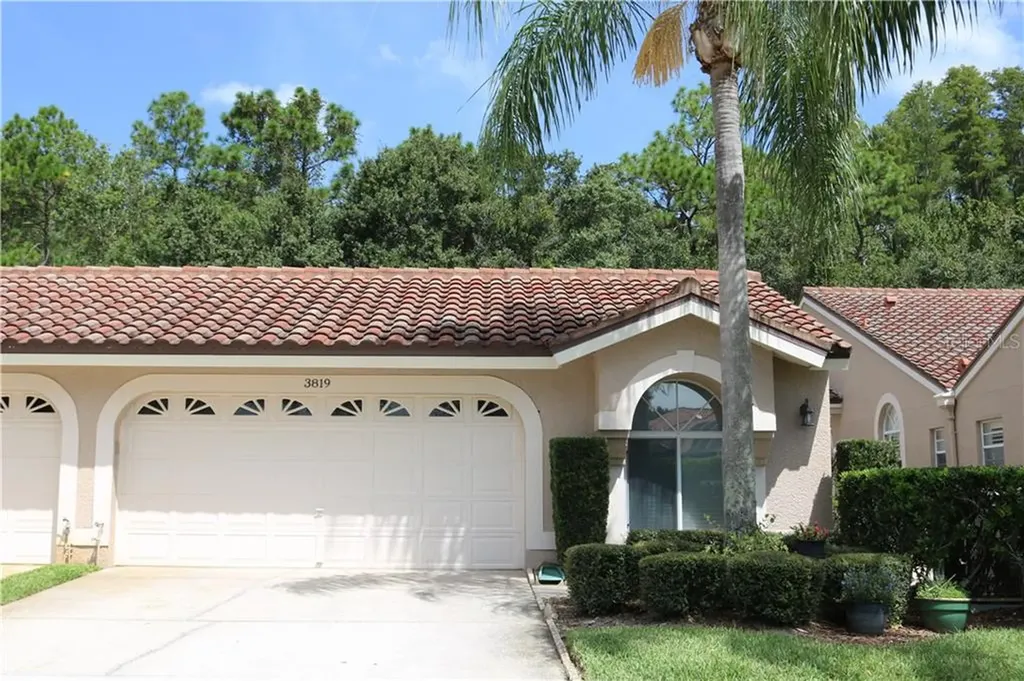 3819 Darston Street Palm Harbor FL 34685