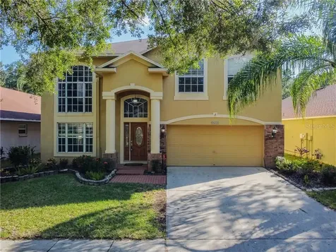 8611 Foxtail Court Tampa FL 33647