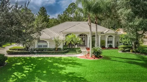 5650 Stag Thicket Lane Palm Harbor FL 34685
