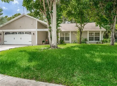 13834 Cherry Creek Drive Tampa FL 33618