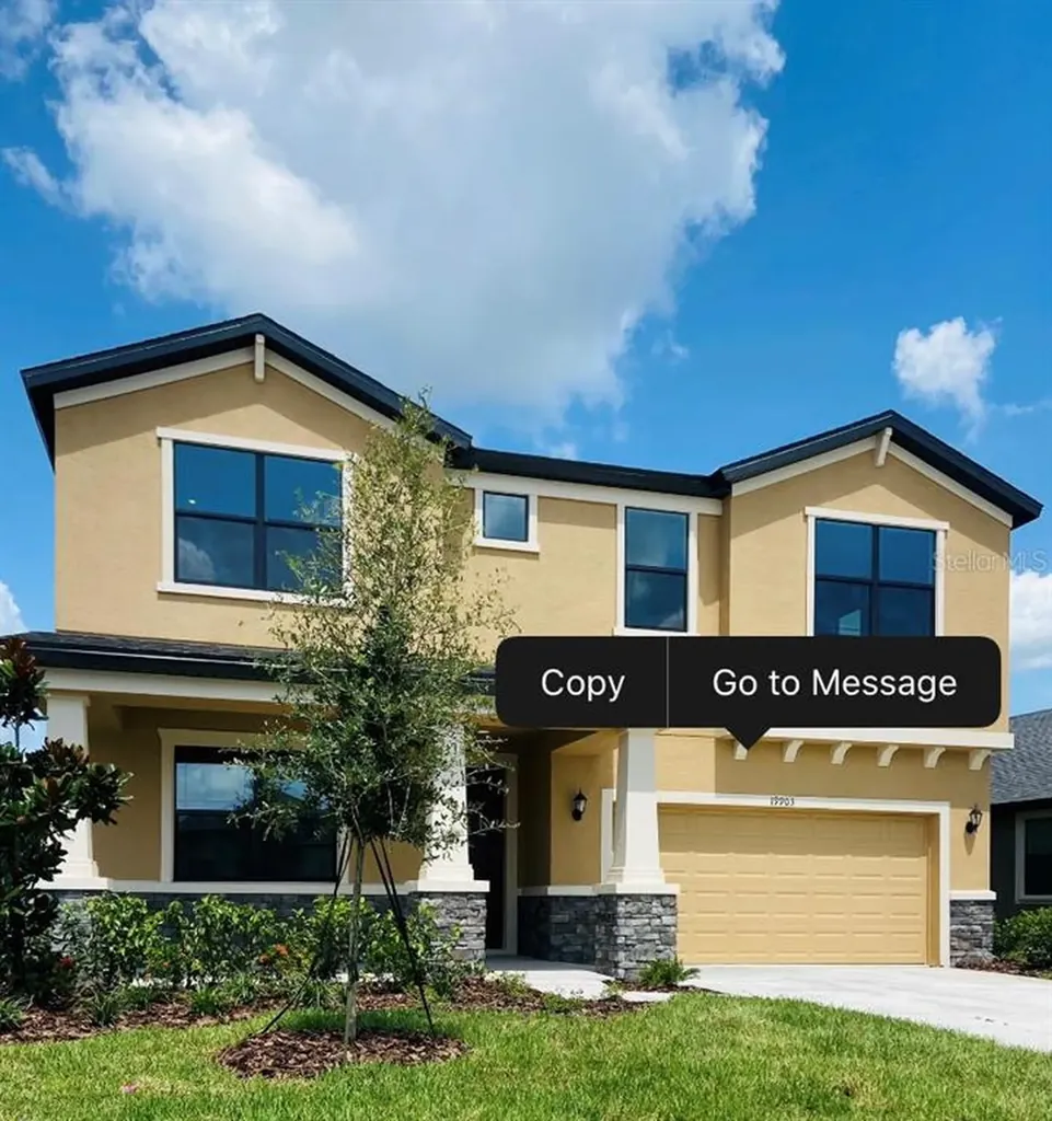19903 Hidden Glen Drive Land O Lakes FL 34638