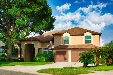 10201 Cove Lake Drive Orlando FL 32836