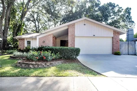 36 Crane Drive Safety Harbor FL 34695