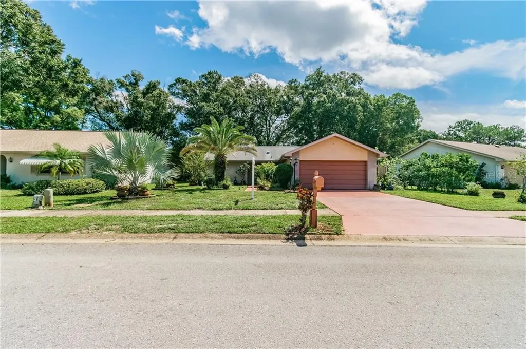 1643 E Dorchester Court Palm Harbor FL 34684