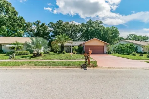 1643 E Dorchester Court Palm Harbor FL 34684