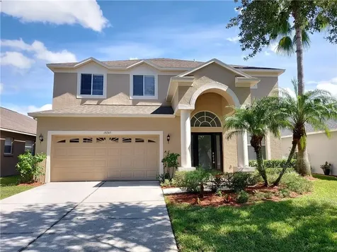 19245 Fishermans Bend Drive Lutz FL 33558