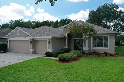 3401 Williston Loop Land O Lakes FL 34639