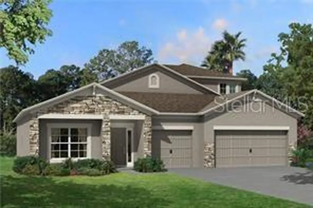 31208 Palm Song Place Wesley Chapel FL 33545