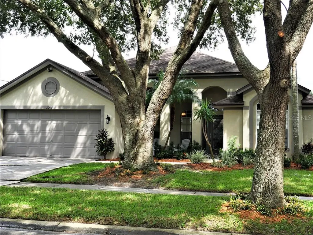 16503 Lake Heather Drive Tampa FL 33618