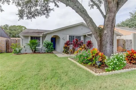 3315 Russett Drive Tampa FL 33618