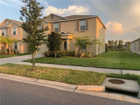 10019 Crested Fringe Drive Riverview FL 33578