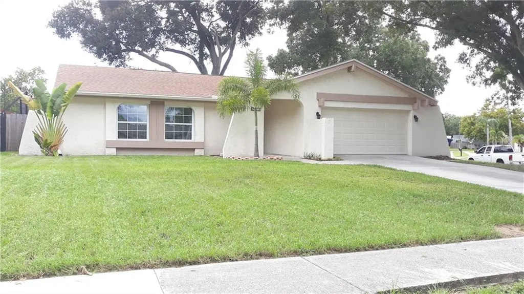 3993 Orchard Hill Circle Palm Harbor FL 34684