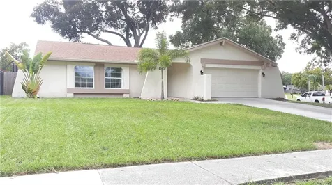 3993 Orchard Hill Circle Palm Harbor FL 34684