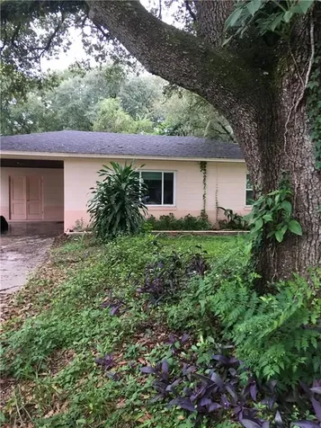 10907 N Edison Avenue Tampa FL 33612