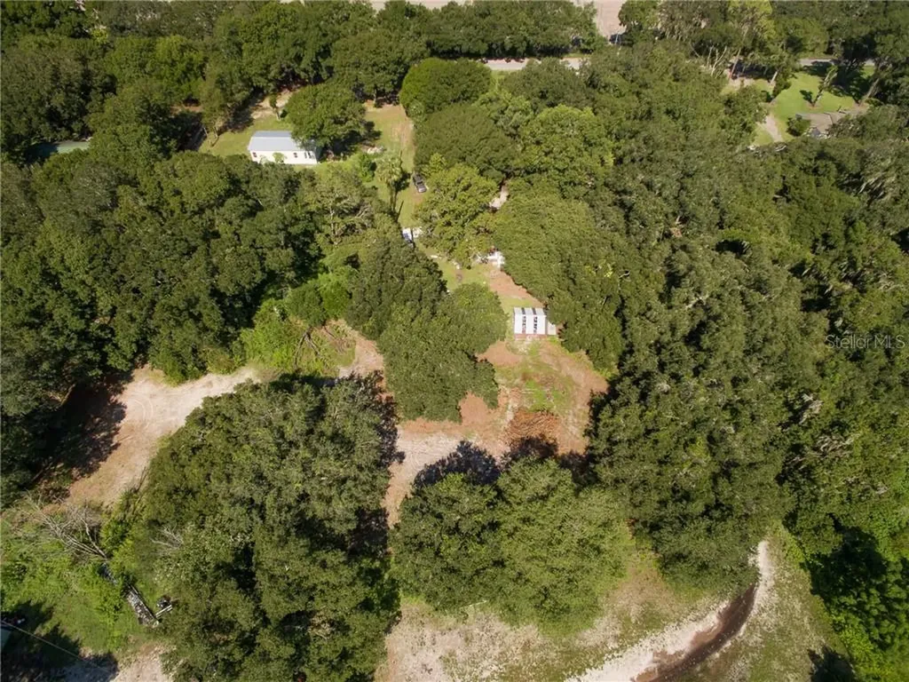 8810 Carey Road Lithia FL 33547