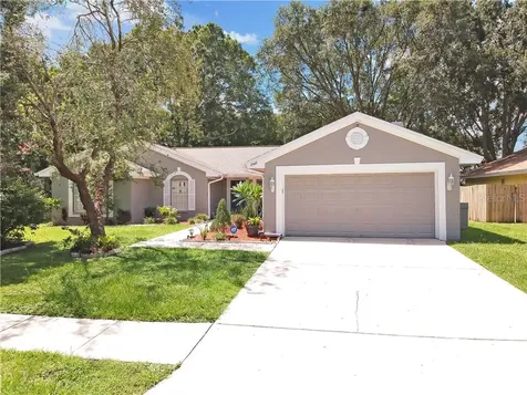 10416 Ashley Oaks Drive Riverview FL 33578