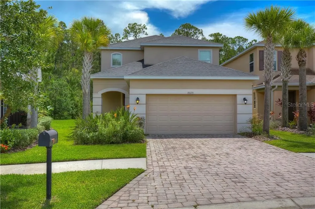 16026 Bella Woods Drive Tampa FL 33647