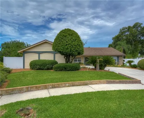 11807 Lipsey Road Tampa FL 33618
