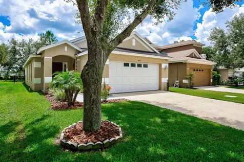 5869 Wrenwater Drive Lithia FL 33547