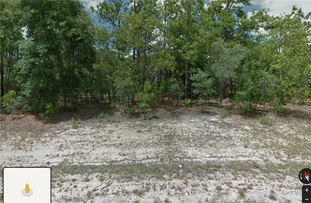 1581 W Thumper Drive Citrus Springs FL 34434
