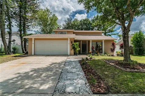 15811 Hound Horn Lane Tampa FL 33624