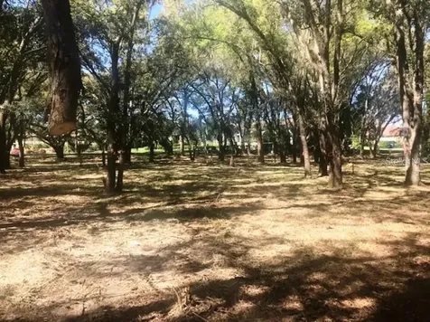 3315 Chase Jackson Branch Lutz FL 33559