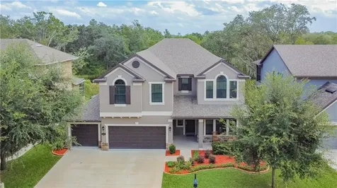 14913 Smitter Reserve Drive Tampa FL 33618