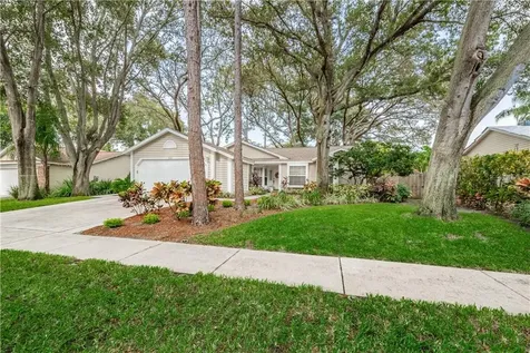 206 Jean Street Palm Harbor FL 34683