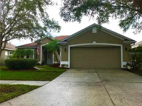 19109 Golden Cacoon Place Lutz FL 33558