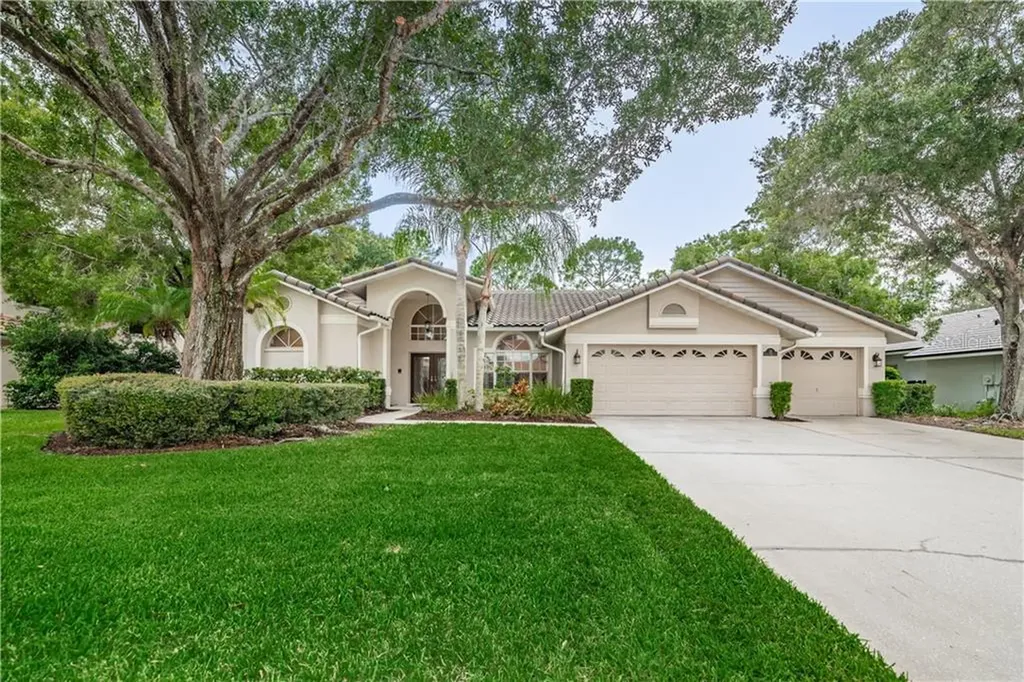 55 Turtle Creek Circle Oldsmar FL 34677