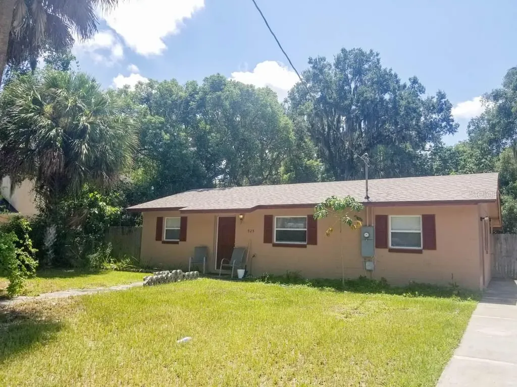 925 Fearon Avenue Mount Dora FL 32757