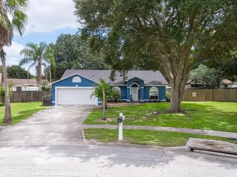 2412 Buckhorn Manor Drive Valrico FL 33594