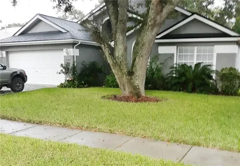 5501 Foxtail Court Wesley Chapel FL 33543