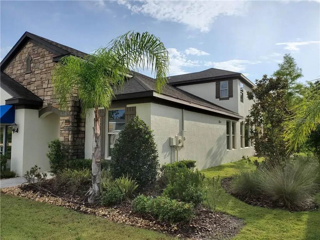 30354 Five Farms Avenue Wesley Chapel FL 33543