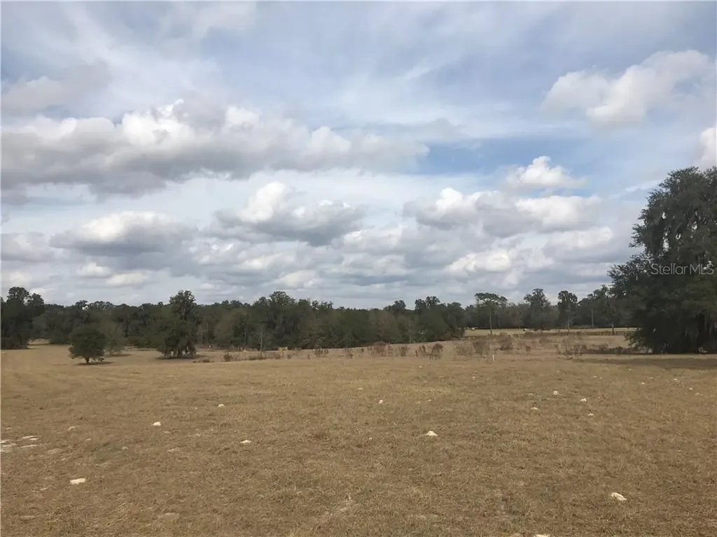 600 W Highway 318 Citra FL 32113
