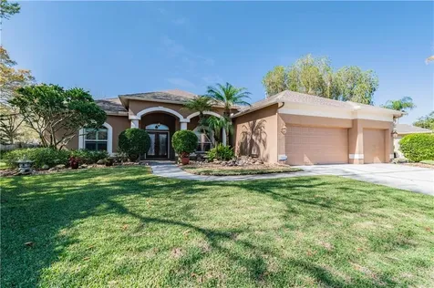 1335 Distant Oaks Drive Wesley Chapel FL 33543