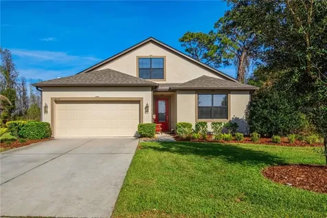 8539 May Port Court Land O Lakes FL 34638