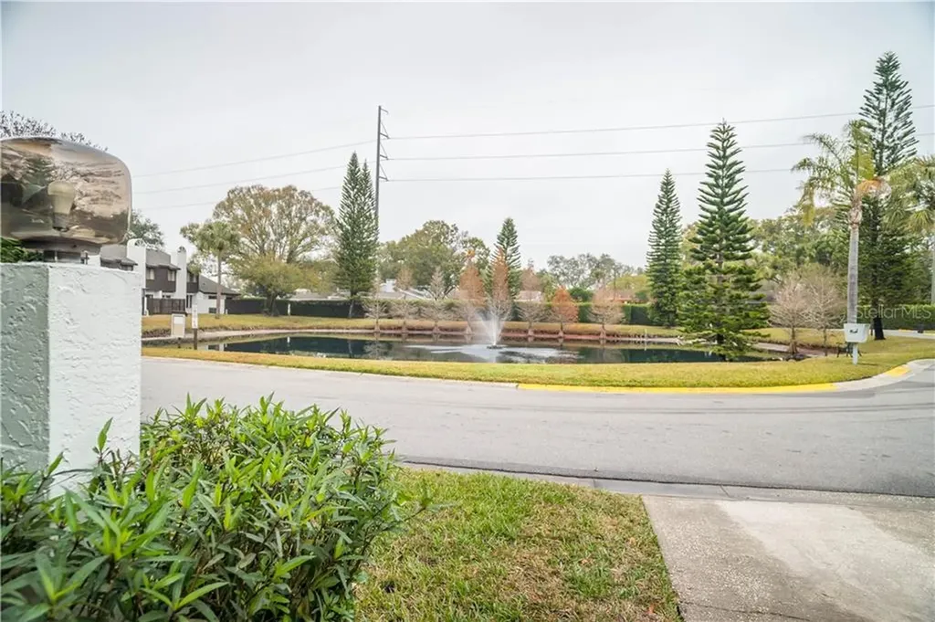 3428 Hunters Run Lane Tampa FL 33614