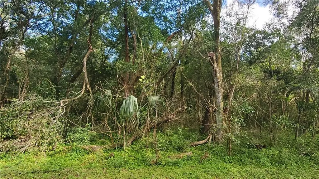 1084 Lincoln Avenue Brooksville FL 34604