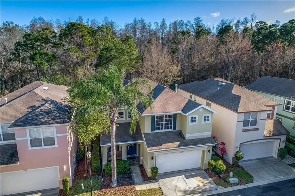 10501 Dotham Court Tampa FL 33626