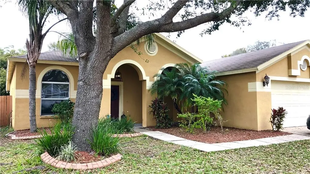 2603 Brookville Drive Valrico FL 33596