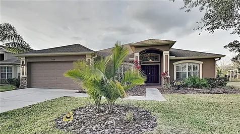 30319 Red Culver Way Wesley Chapel FL 33543