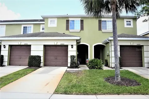 20422 Needletree Drive Tampa FL 33647