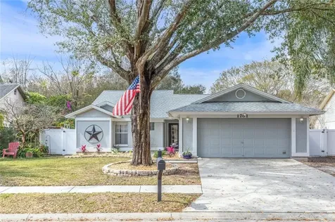 1701 Spinning Wheel Drive Lutz FL 33559