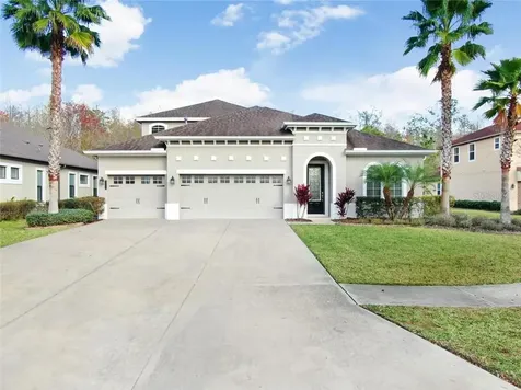 8005 Hampton Glen Drive Tampa FL 33647